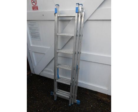 Telescopic ladder