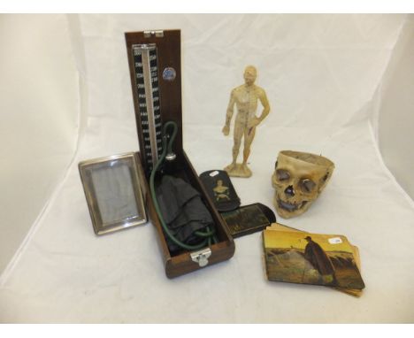 A juvenile human skull (skull cap missing, jaw articulated), together with a sphygmomanometer, a silver photograph frame, and