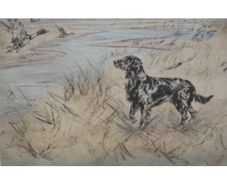 Henry Wilkinson (1921-2011), colour etching, gun dog in a landscape, signed in pencil, limited edition 102/150, 27 x 36cm. Co