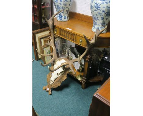 A COMPOSITION MODEL OF A MOUNTED DEER'S HEAD shown on a foliate carved oak plaque 