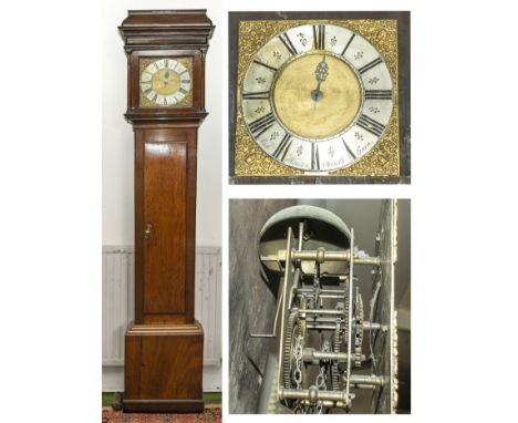 An oak antique long case clock with square brass face and single hand, weights and pendulum present