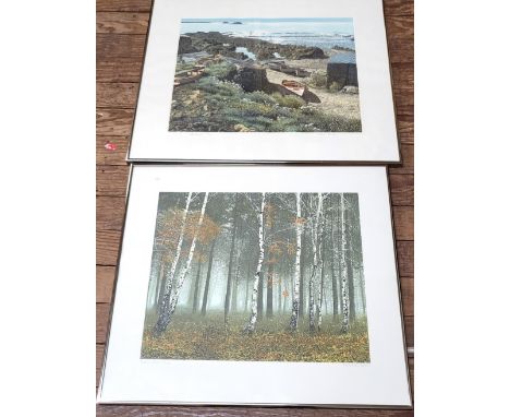 Two limited edition prints: Graham Everden 'Cope, Cornwall' 306/350, and Kenneth Leech 'Forest Walk' 133/150. Both framed and