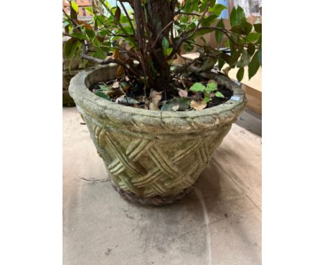 A concrete garden planter 