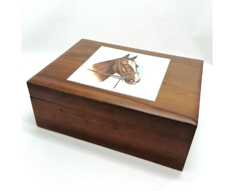 Vintage wooden cigar humidor with porcelain panel to lid of horse head design ~ interior has original fittings - 28cm x 21cm 