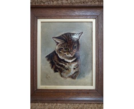 M Shaw, portrait of a cat, oil on board, signed and dated 1895, in gilt slip and oak frame, 43 cm x 38 cm