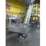 Inclined Conveyor