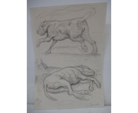 Lin Jammet - a study of two dogs, one running, the other asleep, pencil sketch signed and dated '91, lower right corner, 16" 