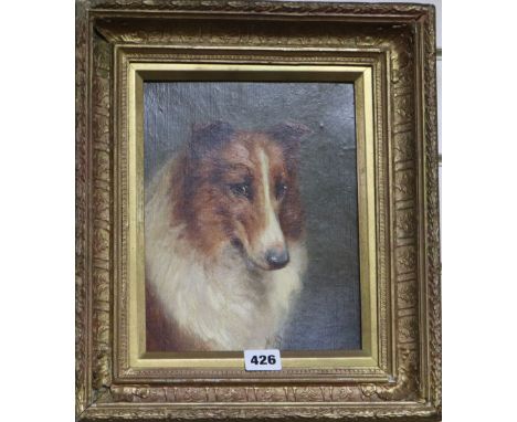 V. Brownlowe, oil on canvas board, portrait of a collie, signed, 24 x 19cmFrom the estate of the late Sheila Farebrother.