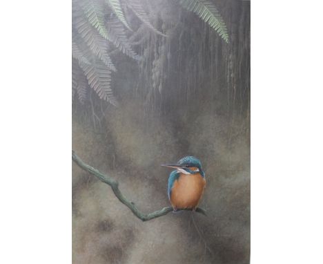 R R BUXTON (XX-XXI). Kingfisher, signed lower right, watercolour, framed and glazed, 41 x 28 cm