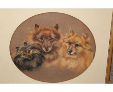 MARJORIE COX.  Oval study of three dogs, pastels on paper, framed and glazed, signed, together with an oval portrait study of