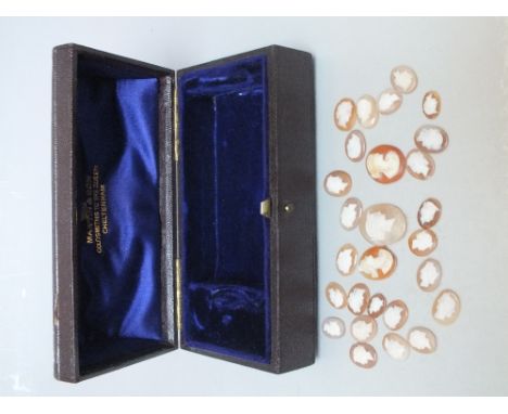 A COLLECTION OF CARVED SHELL CAMEO PORTRAIT PANELS, largest approximately 1.6 x 2.2 cm  (Approx 26)