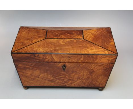 A REGENCY POLLARD ELM TEA CADDY, of sarcophagus form, raised on four gilt metal bun feet, the hinged lid opening to reveal a 