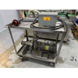 Centrifugal Pump