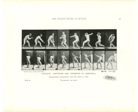 Eadweard Muybridge (English/American, 1830-1904). "Athlete: Catching and Throwing at Base-Ball [from: The Human Figure in Mot