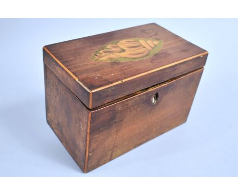 A Mid 19th Century Two Division Tea Caddy, Hinged Lid with Shell Decoration, 18.5cms Wide 