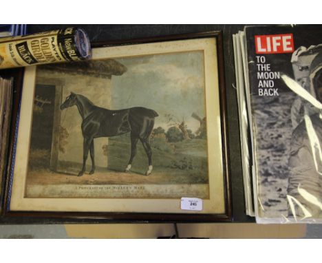 19th century colour engraving "A Portrait of the Miller's Mare", framed and glazed 35cm x 45cm