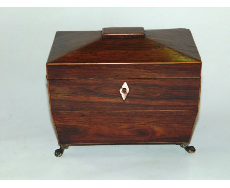 A regency rosewood sarcophagus shaped caddy with two divisional interior and satin wood banding raised on lions paw feet