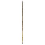 Ø A FINE 19TH CENTURY NARWHAL TUSK