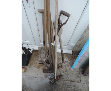 Quantity of Garden Tools 