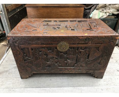 Chinese Camphor Wood Trunk