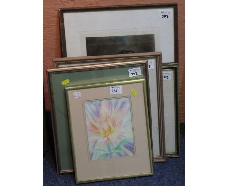 Group of assorted framed furnishing pictures, botanical and topographical studies, portrait study of a young girl (Mezzotint)