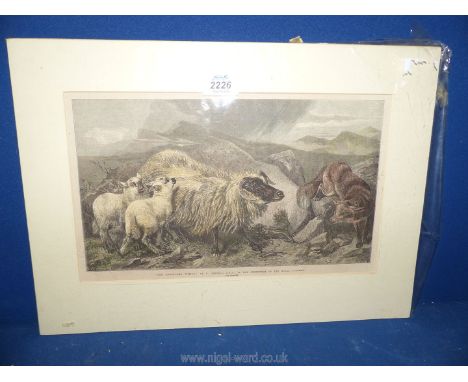 A mounted and unframed page taken from a book titled 'The Unwelcome Visitor' by R. Ansdell A.R.A in the exhibition of The Roy