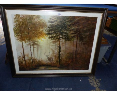 A large framed Gerald Coulson print titled 'Quiet Forrest'. 36" x 28 3/4".