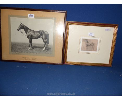 A framed Degas print of horses and figures, plus a photograph of a two year old Thoroughbred.