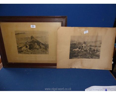 A framed print and an unframed print 'Pointers waiting for The Guns' and 'English, Scotch and Irish Setters'.