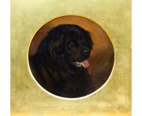 George Earl (1824 - 1908), oil on board - portrait of Newfoundland, tondo, 26cm diameter, in gilt slip CONDITION REPORT Minor
