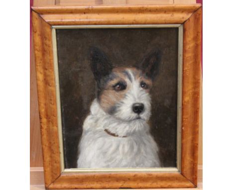 Late Victorian English School oil on canvas - portrait of a terrier, in maple frame, 28cm x 22.5cm
