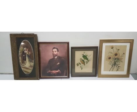 Pair of late Victorian hall pictures in original frames 68cms X 34cms, Botanical Print  58cms X 48cms, Portrait of Gent 56cms