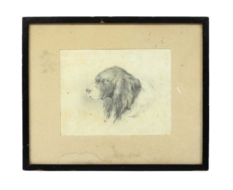 Thomas Sidney Cooper RA (1803-1902)Portrait of Captain Peacock's spanielsigned and dated 'J J Cooper 1831' c.r., an inscripti