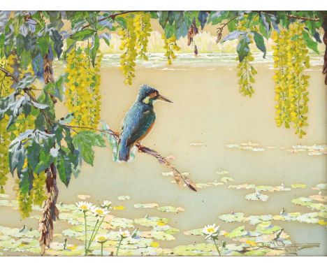 Arthur H Buckland (20th century)The Complete Angler - a Kingfisher with Laburnumsigned and dated 'Arthur H Buckland / 1928' l