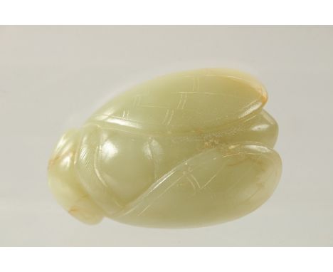 A 19TH CENTURY QING DYNASTY CHINESE CARVED JADE MOTH, 7cm long.