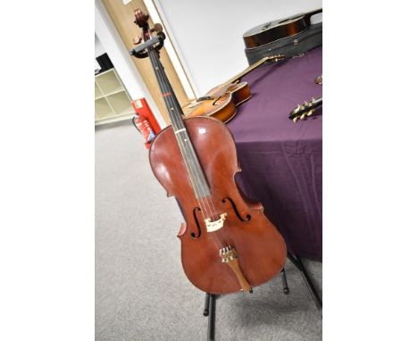 A traditional Cello , no visible label, on stand, with two bows. 30 inch back
&nbsp;
several scuffs, knocks and marks, spltti