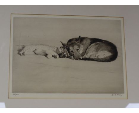 Cecil Aldin, etching, "Inseparable", signed in pencil, 80/100, 21 x 30cm