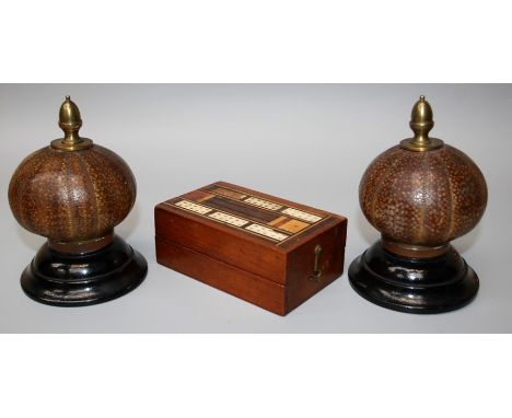 A pair of unsual and decorative, late 19th century Sea Urchin ornaments with brass acorn finials and turned socle bases. Toge