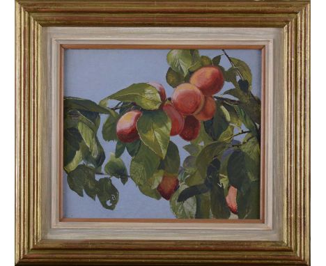 Seoirse Macantsionnaigh, 20th centuryFruit treeoil on board25.5 x 29.5cmCondition report: Generally good condition, not exami