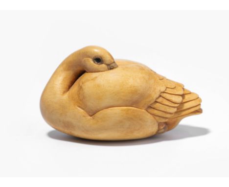 Holz-Netsuke von Susan Wraight (Berkshire 1955–)England, 2.Hälfte 20.Jh. Holz. Signiert S. Ruhender Schwan. L 6 cm. 