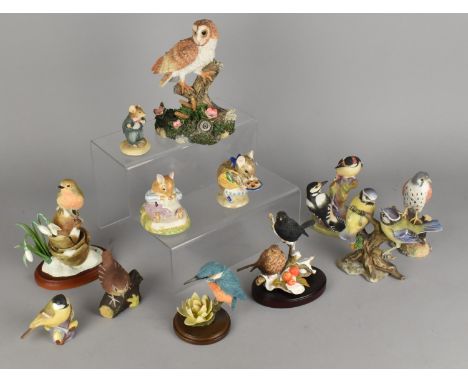 A Collection of Various Ceramic and Resin Animal and Bird Ornaments to Include Royal Albert and Royal Doulton Beatrix Potter 
