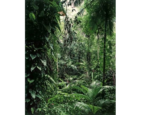 Struth, Thomas -- Paradies series. 2004. 5 digital color prints and 1 black and white digital print. Each circa 30,7 x 39 cm 