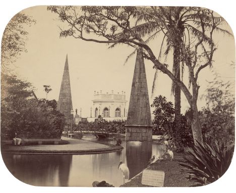 Brazil &amp; Portugal -- Photographers: Théophile Auguste Stahl (1828-1877) and Augusto Bobone (1852-1910). Views of Botanica