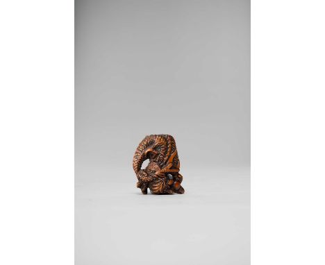 A JAPANESE WOOD NETSUKE OF A DRAGONEDO PERIOD, 18TH/19TH CENTURYThe writhing creature depicted with a long scaly body, holdin