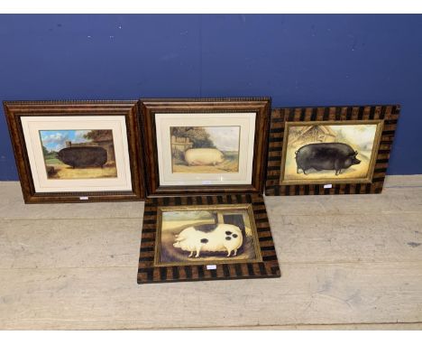 After R Whitford pair of modern colour prints 'Pigs' 22 X 30 cm framed &amp; glazed &amp; similar pair after A Churchill 