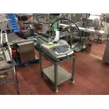 Ink Jet Printer