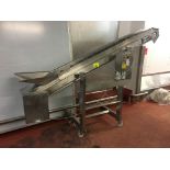 Inclined Conveyor