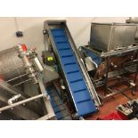 Inclined Conveyor