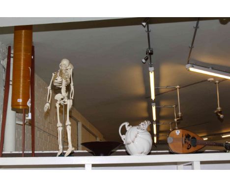 Retro floor lamp, small anatomical skeleton, Wedgwood glass bowl, shell design toilet jug and mandolin.