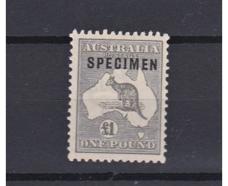 Australia 1924 £1 Grey over print "Specimen" fine mounted mint, SG 75s